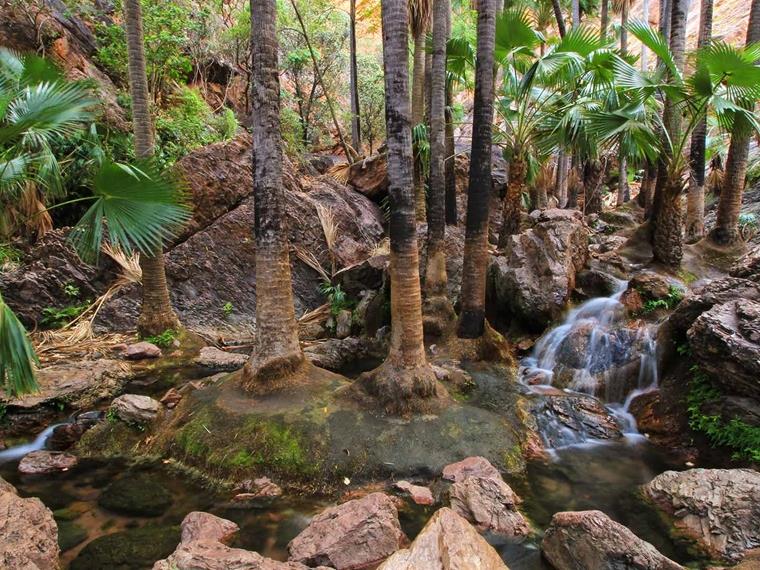 Natural fresh water springs in a forest, Western Australia