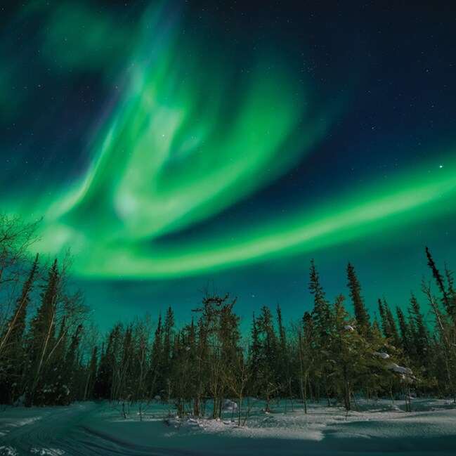 Northern lights above Yellowknife forest in Canada