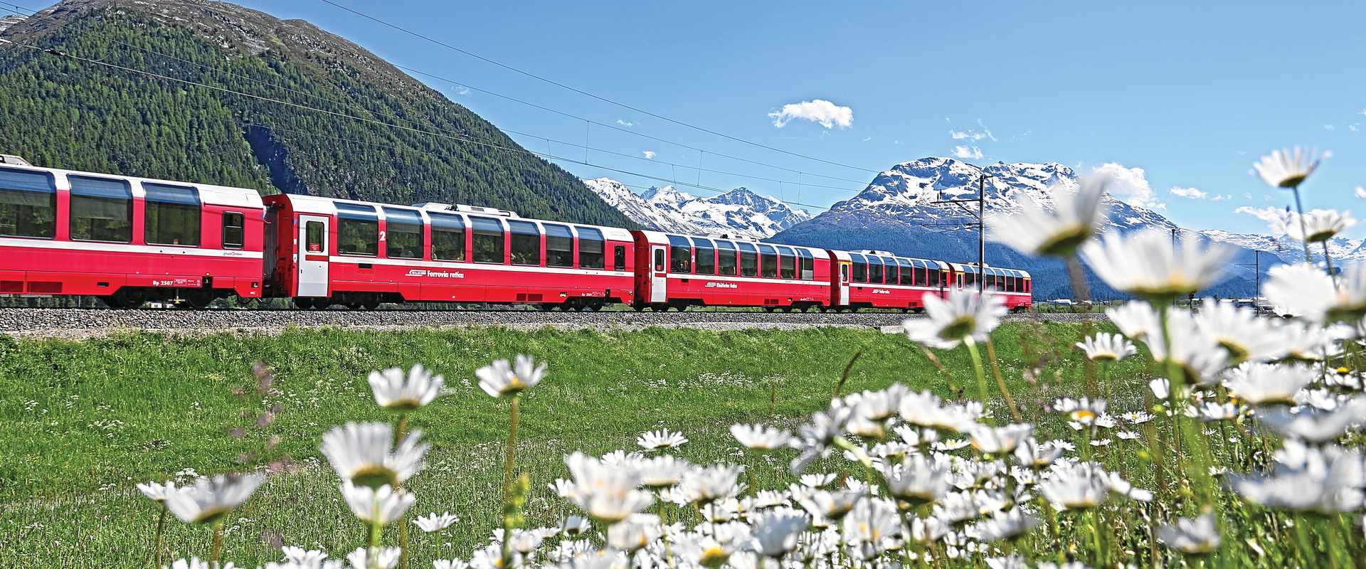 Training moving through a field with flowers in foreground, Switzerland